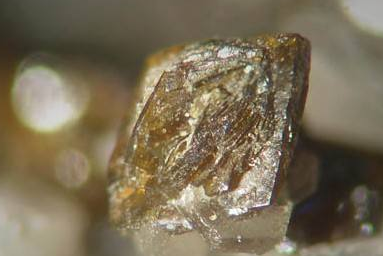 中國對澳大利亞銅礦石的進(jìn)口量降至零